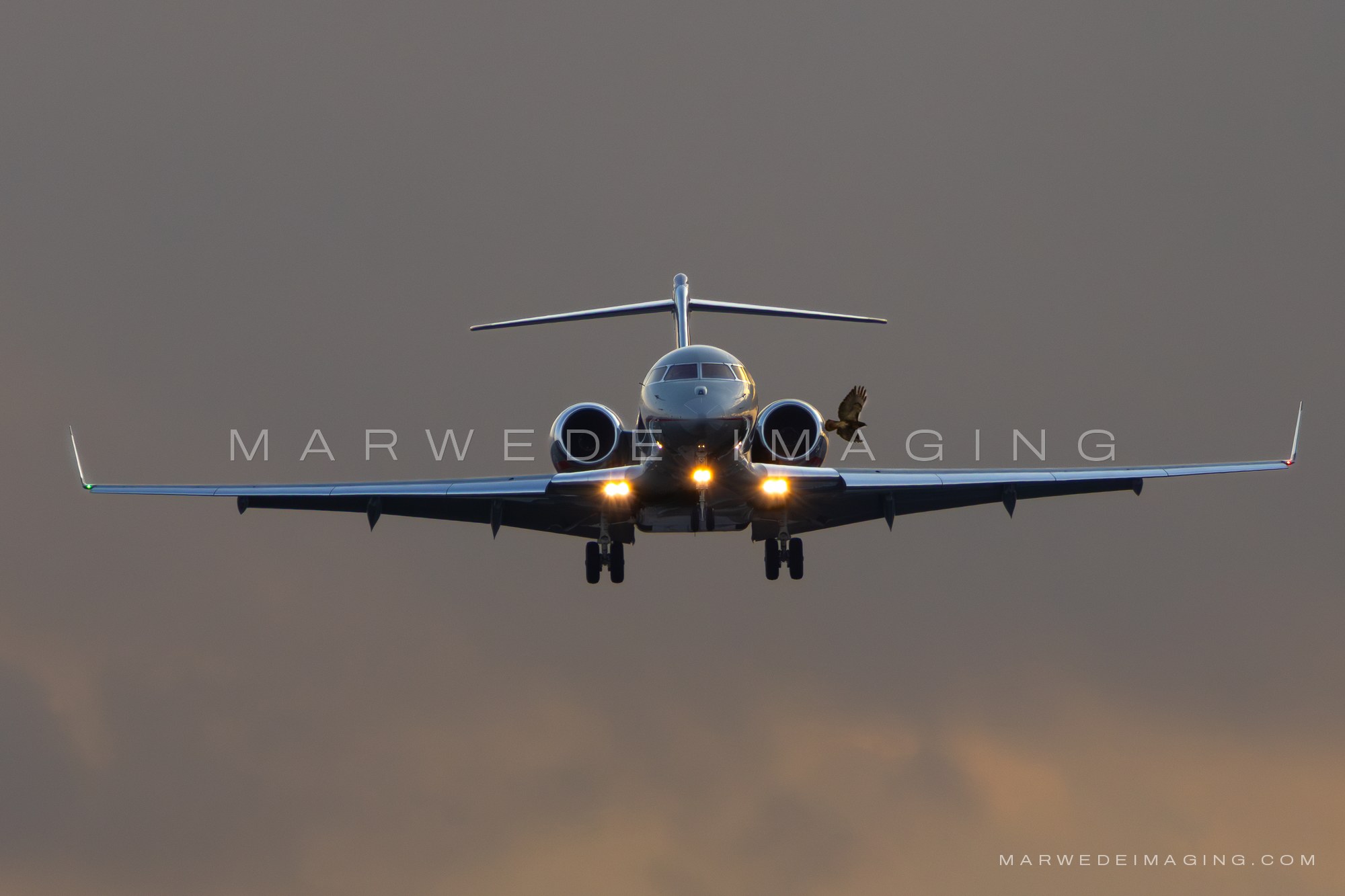 Bombardier Global 5000 N505VJ photographed at KBCT on 2025-03-13